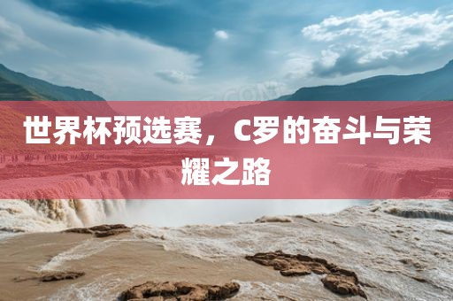 世界杯预选赛，C罗的奋斗与荣耀之路金炬实业股份有限公司