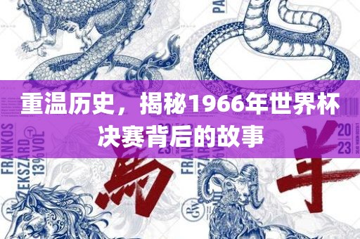 重温历史，揭秘1966年世界杯决赛背后的故事