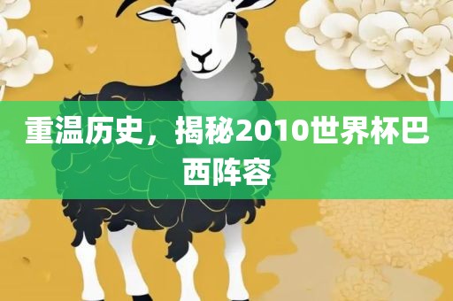 重温历史，揭秘2010世界杯巴西阵容