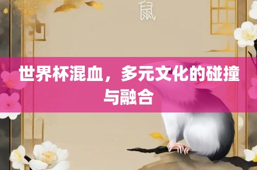 世界杯混血，多元文化的碰撞与融合金炬实业股份有限公司