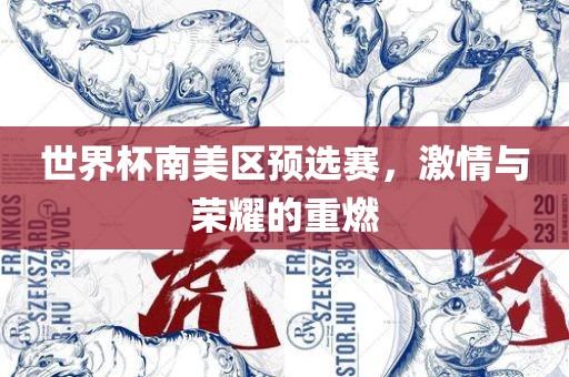 世界杯南美区预选赛，激情与荣耀的重燃