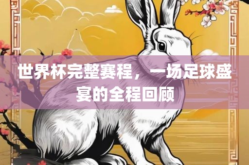 世界杯完整赛程，一场足球盛宴的全程回顾金炬实业股份有限公司