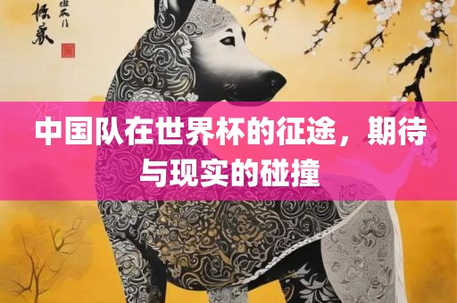 中国队在世界杯的征途，期待与现实的碰撞