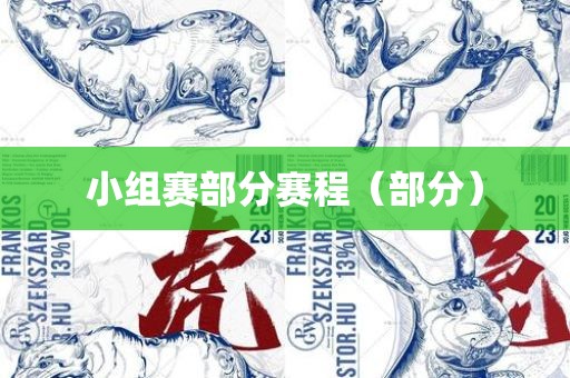 小组赛部分赛金炬实业股份有限公司程（部分）