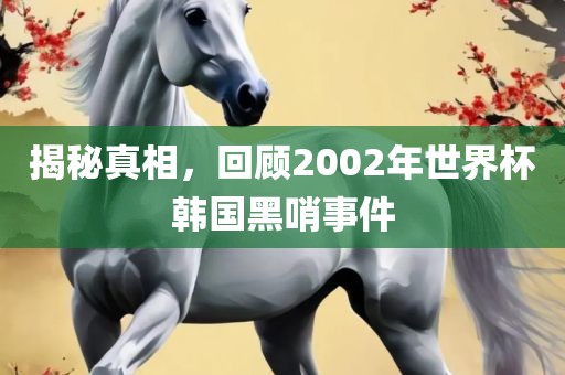 揭秘真相，回顾2002年世界杯韩国黑哨事件