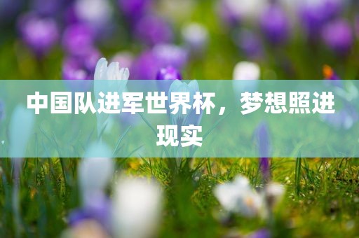 中国队进军世界杯，梦想照进现实