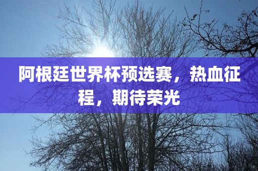 阿根廷世界杯预选赛，热血征程，期待荣光