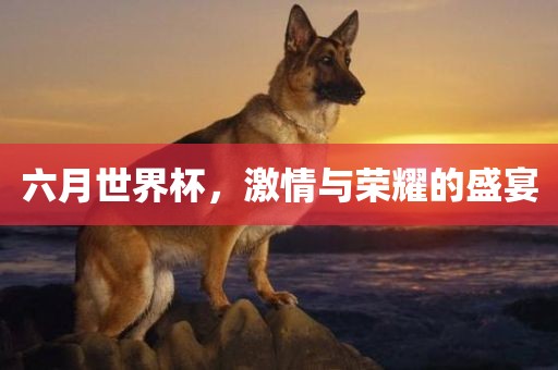 六月世界杯，激情与荣耀的盛宴金炬实业股份有限公司