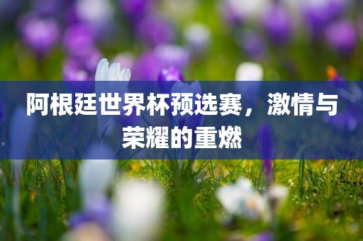 阿根廷世界杯预选赛，激情与荣耀的重燃