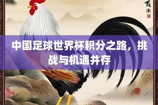 中国足球世界杯积分之路，挑战与机遇并存金炬实业股份有限公司