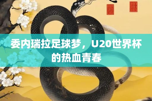 委内瑞拉足球梦，U20世界杯的热血青春