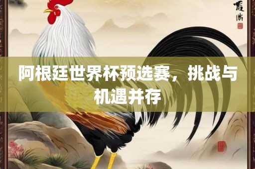 阿根廷世界杯预选赛，挑战与机遇并存