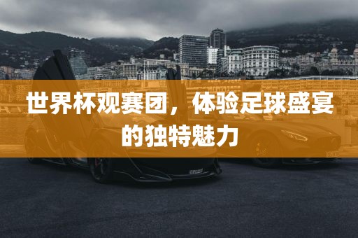 世界杯观赛团，体验足球盛宴的独特魅力