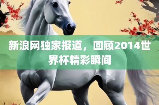 新浪网独家报道，回顾2014世界杯精彩瞬间金炬实业股份有限公司