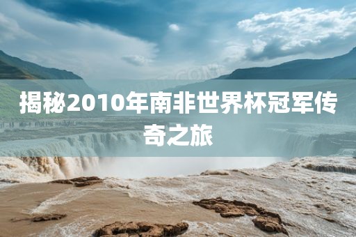 揭秘2010年南非世界杯冠军传奇之旅金炬实业股份有限公司