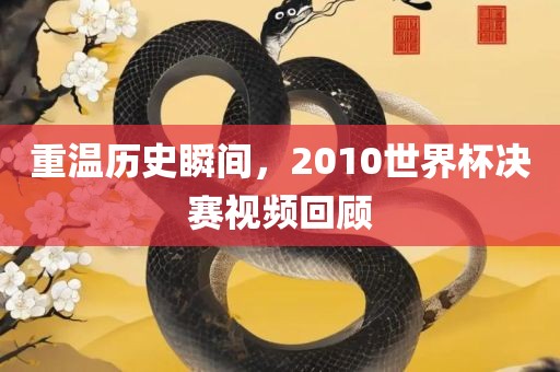 重温历史瞬间，2010世界杯决赛金炬实业股份有限公司视频回顾