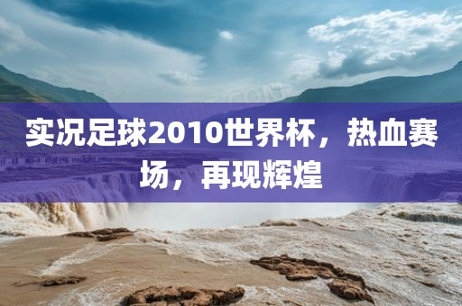 实况足球2010世界杯，热血赛场，再现辉煌金炬实业股份有限公司