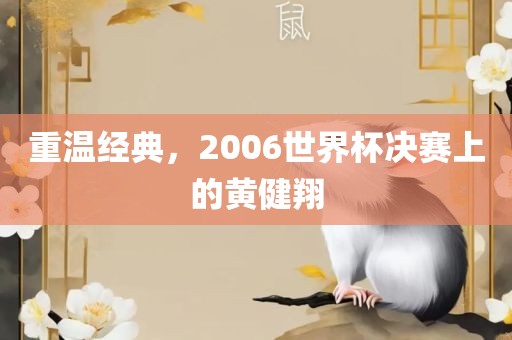 重温经典，2006世界杯决赛上的黄健翔