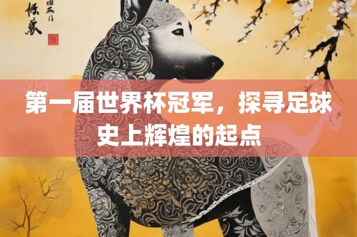 第一届世界杯冠军，探寻足球史上辉煌的起点金炬实业股份有限公司