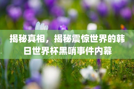 揭秘真相，揭秘震惊世界的韩日世界杯黑哨事件内幕