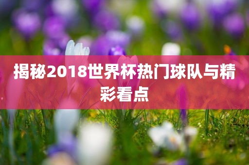揭秘2018世界杯热门球队与精彩看点金炬实业股份有限公司