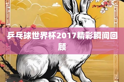 乒乓球世界杯2017精彩瞬间回顾