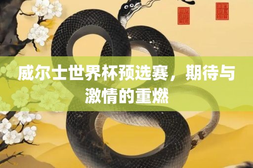 威尔士世界杯预选赛，期待与激情的重燃金炬实业股份有限公司