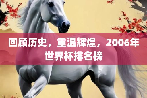回顾历史，重温辉煌，2006年世界杯排名榜金炬实业股份有限公司