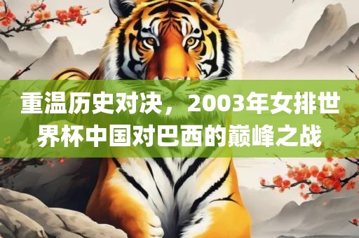 重温历史对决，2003年女排世界杯中国对巴西的巅峰之战