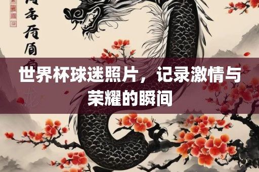 世界杯球迷照片，记录激情与荣耀的瞬间