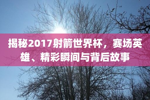 揭秘2017射箭世界杯，赛场英雄、精彩瞬间与背后故事