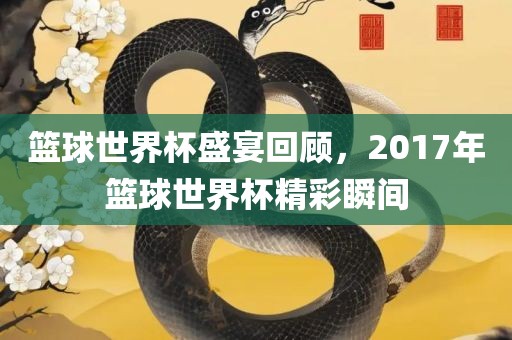 篮球世界杯盛宴回顾，2017年篮球世界杯精彩瞬间