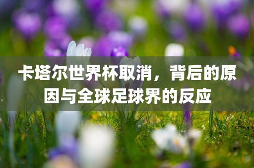 卡塔尔世界杯取消，背后的原因与金炬实业股份有限公司全球足球界的反应