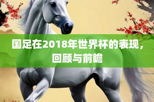 国足在2018年世界杯的表现，回顾与前瞻