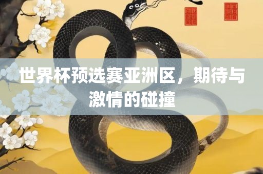 世界杯预选赛亚洲区，期待与激情的碰撞