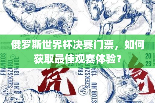 俄罗斯世界杯决赛门票，如何获取最佳观赛体验？