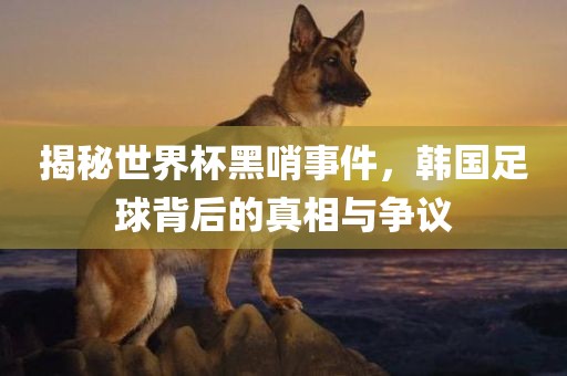 揭秘世界杯黑哨事件，韩国足球背后的真相与争议