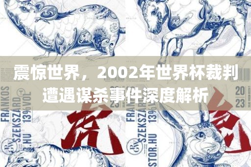 震惊世界，2002年世界杯裁判遭遇谋杀事件深度解析金炬实业股份有限公司