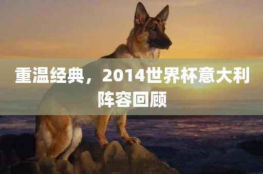 重温经典，2014世界杯意大利阵容回顾