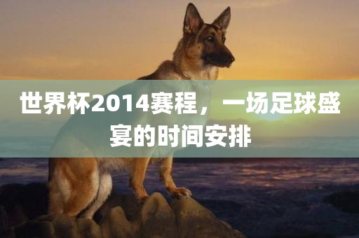 世界杯2014赛程，一场足球盛宴的时间安排