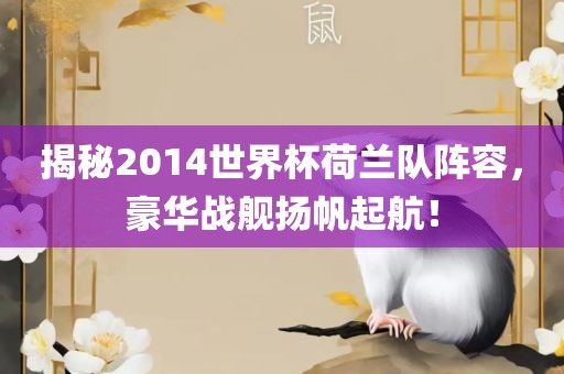 揭秘2014世界杯荷兰队阵容，豪华战舰扬帆起航！金炬实业股份有限公司
