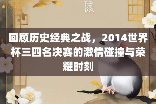 回顾历史经典之战，2014世界杯三四名决赛的激情碰撞与荣耀时刻