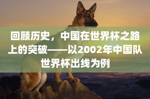 回顾历史，中国在世界杯之路上的突破——以2002年中国队世界杯出线为例
