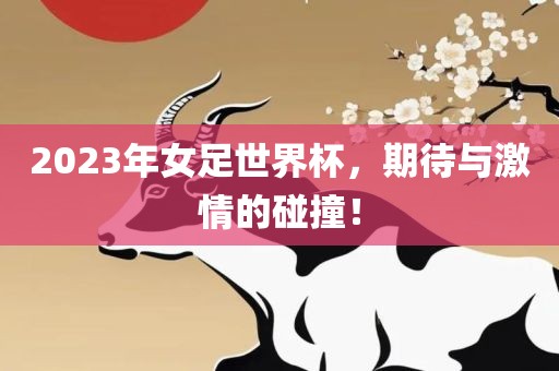 2023年女足世界杯，期待与激情的碰撞金炬实业股份有限公司！