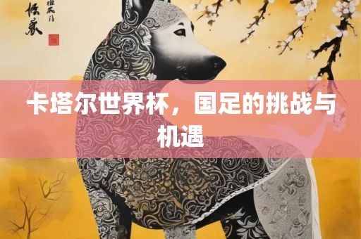 卡塔尔世界杯，国足的挑战与机遇