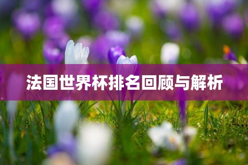 法国世界杯排名回顾与解析