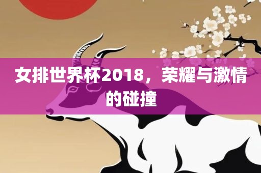 女排世界杯2018，荣耀与激情的碰撞