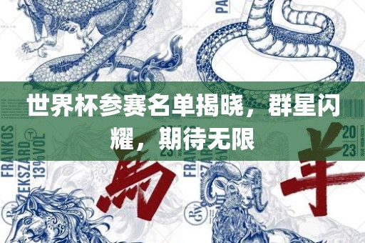 世界杯参赛名单揭晓，群星闪耀，期待无限