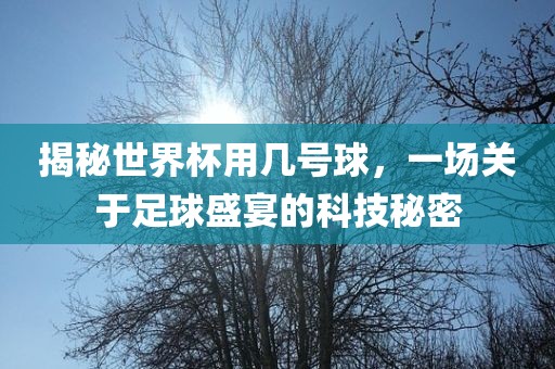揭秘世界杯用几号球，一场关于足球盛宴的科技秘密