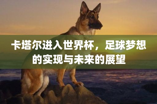 卡塔尔进入世界杯，足球梦想的实现与未来的展望